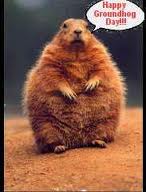 groundhog