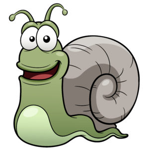 Snail